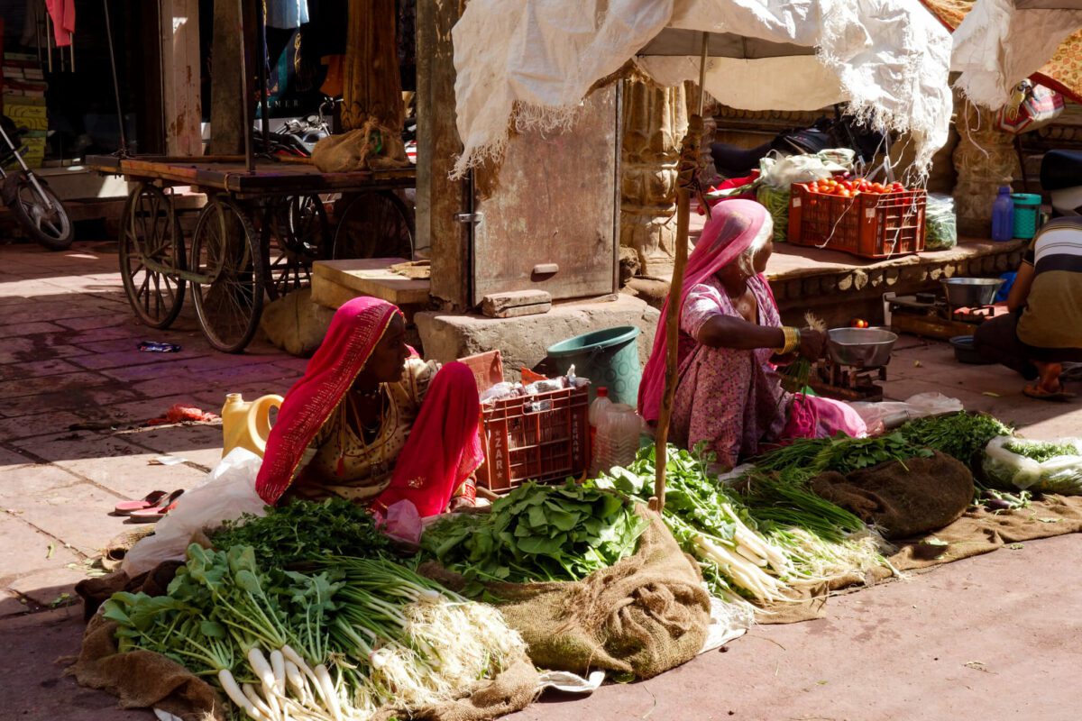 10 jours au rajasthan