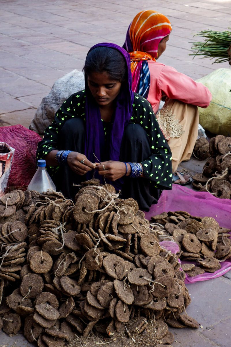 jodhpur au rajasthan