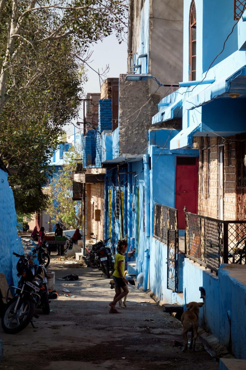 ville bleue de jodhpur