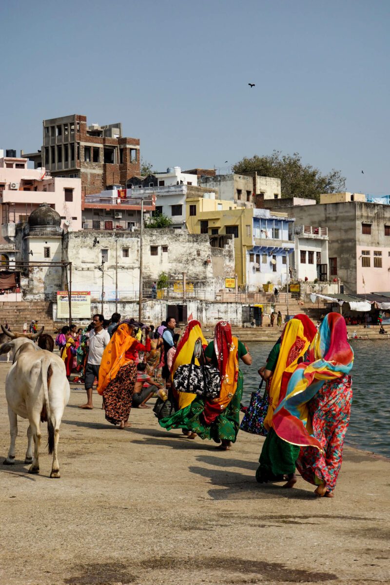 visiter pushkar