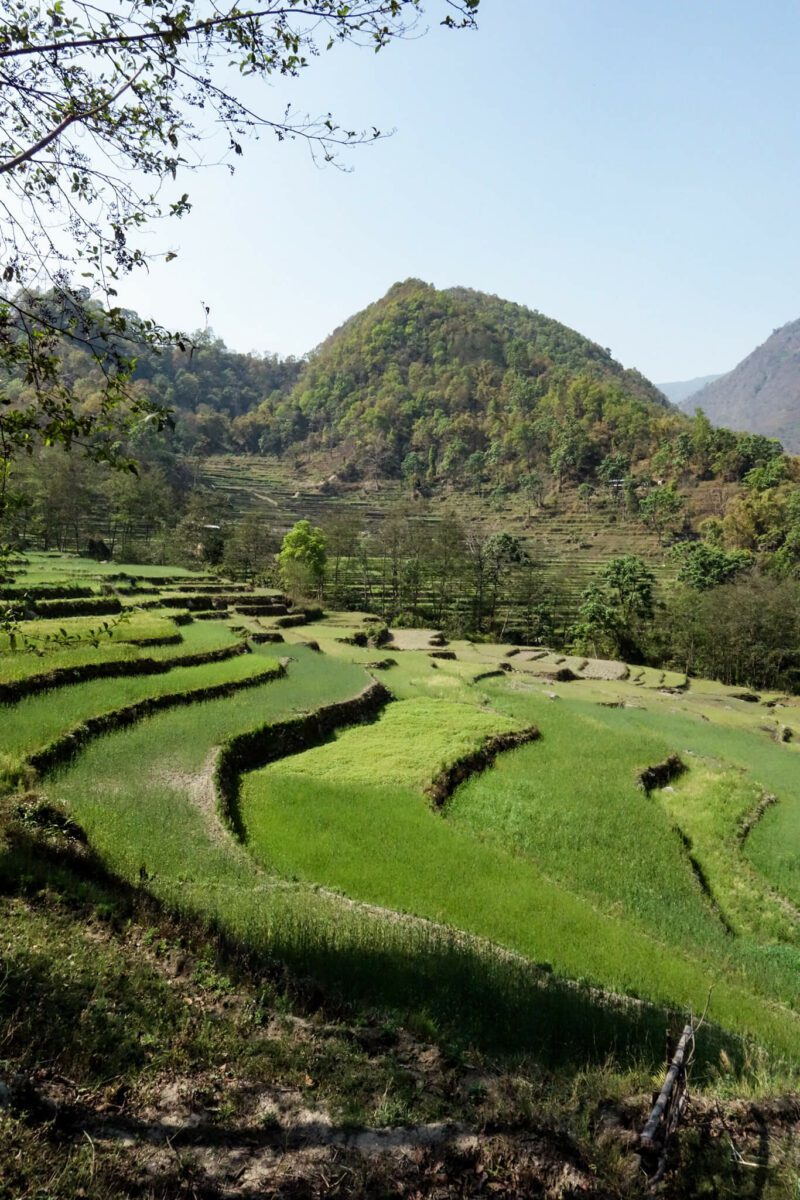 trekker au nepal
