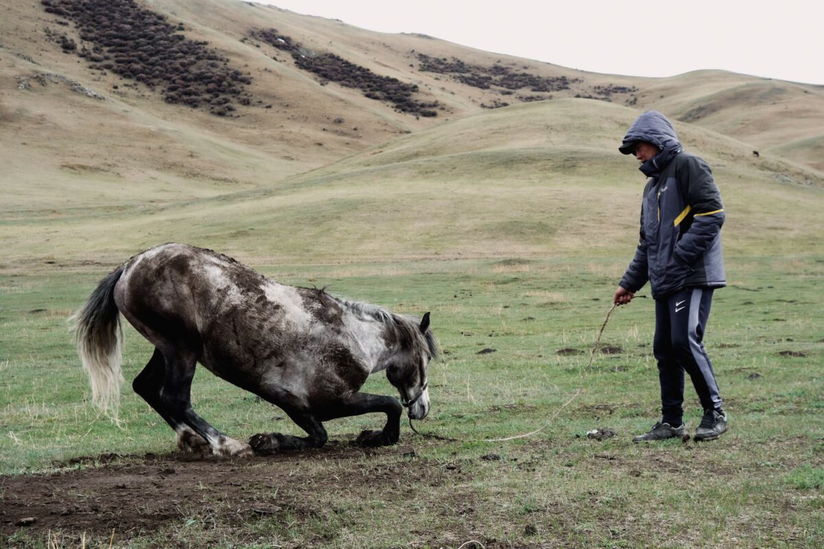 randonnée à cheval au lac song kul