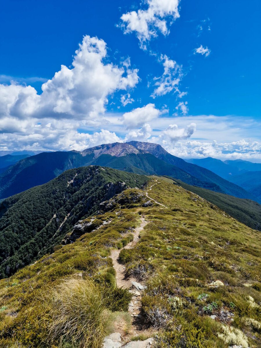richmond ranges te araroa