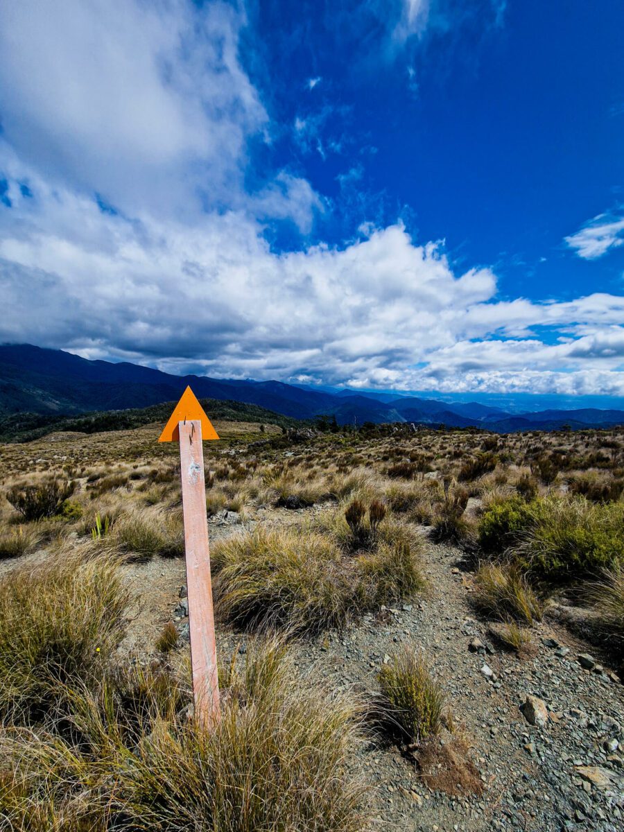 faire le te araroa trail