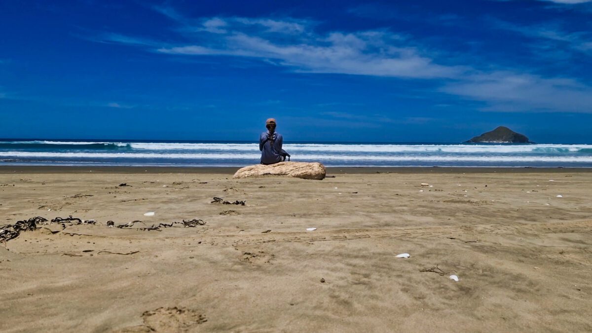 90 miles beach te araroa