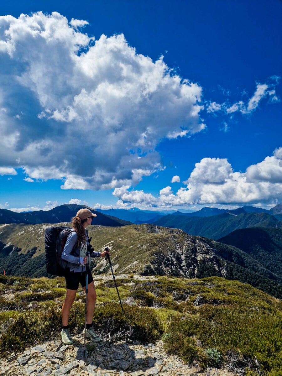 richmond ranges te araroa