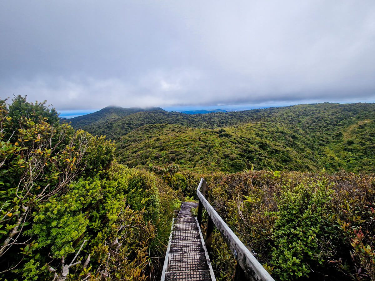 pirongia mont