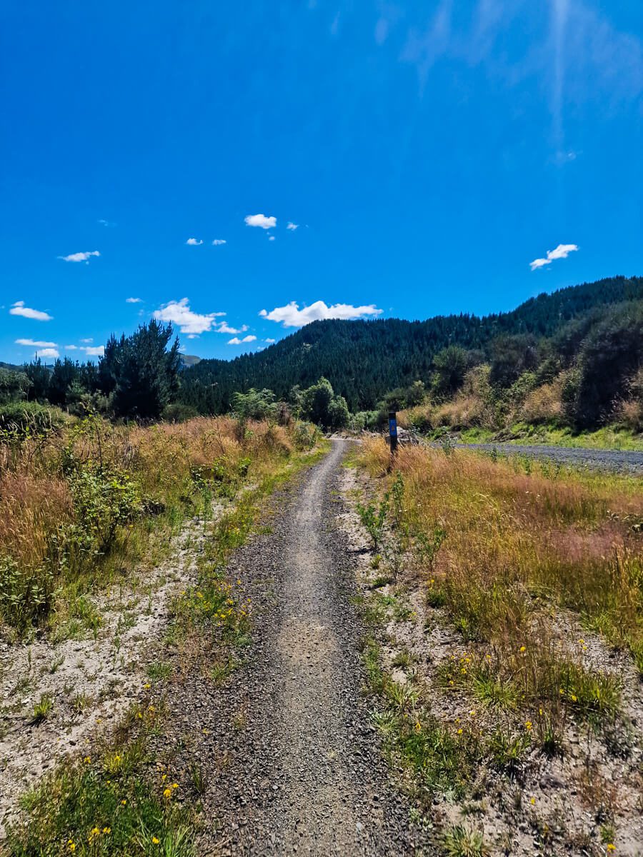 timber trail