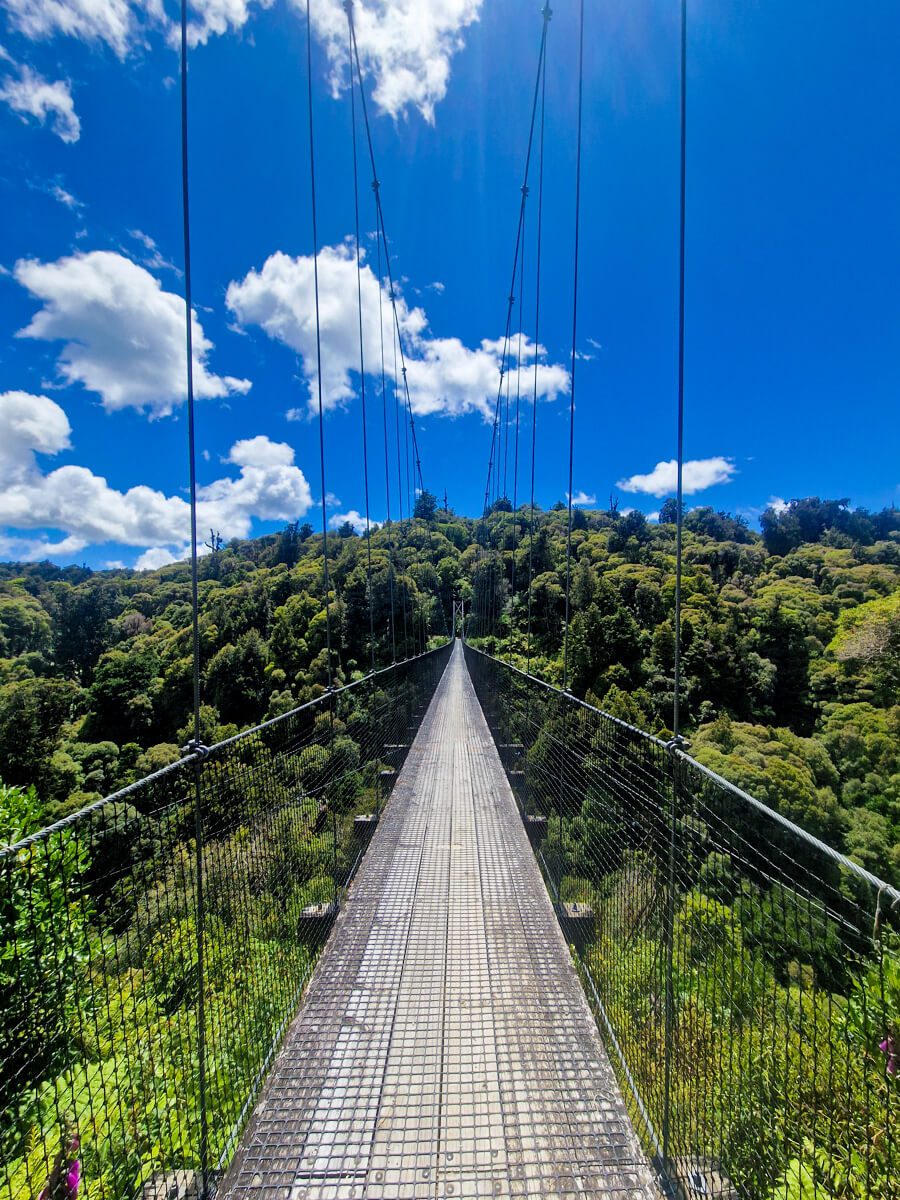 timber trail