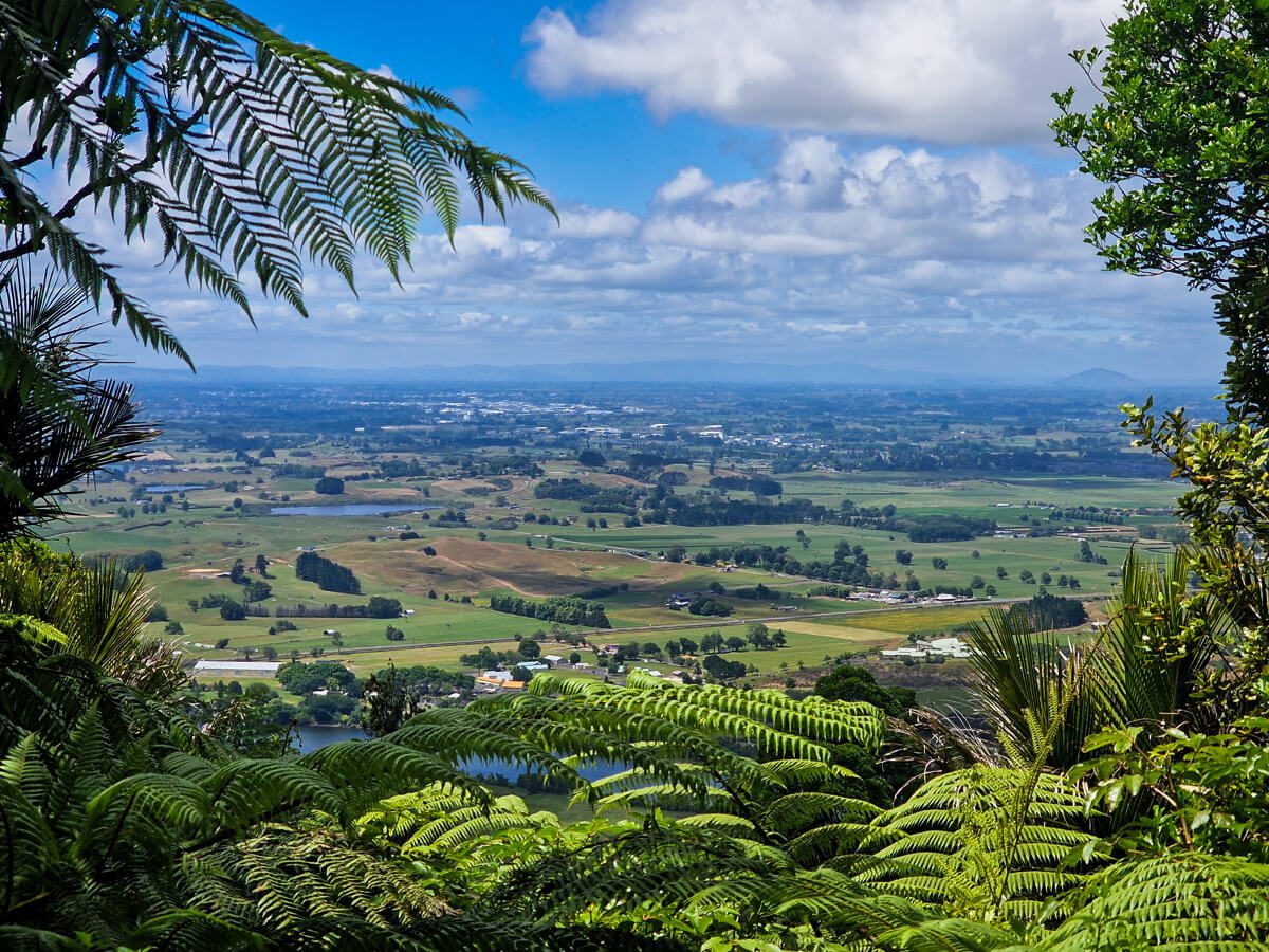 Te Araroa Auckland à Taumarunui