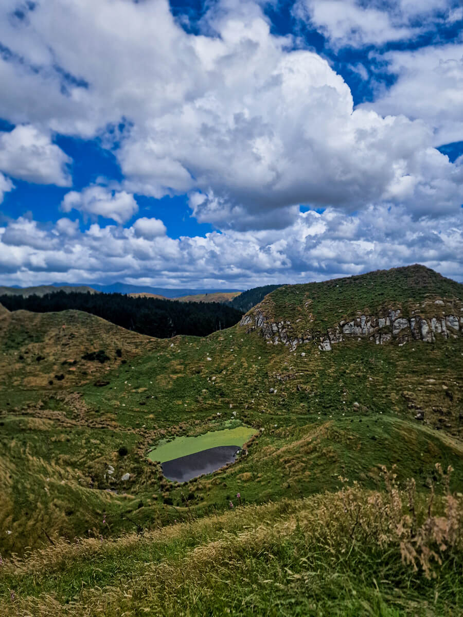 Te Araroa Auckland à Taumarunui