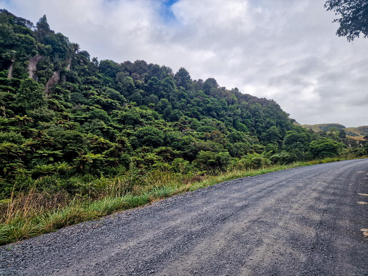 gravel road te araroa