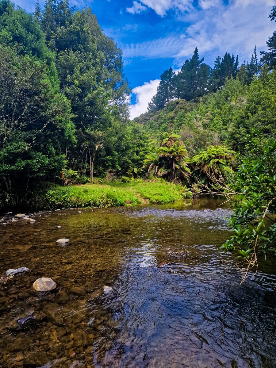 te araroa trail nouvelle zelande