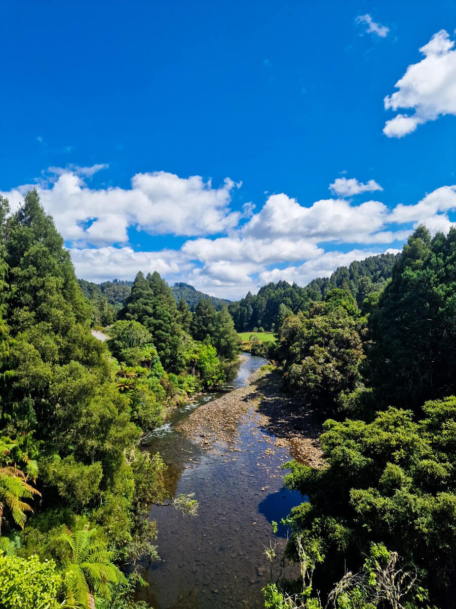 Te Araroa Taumarunui à Whanganui