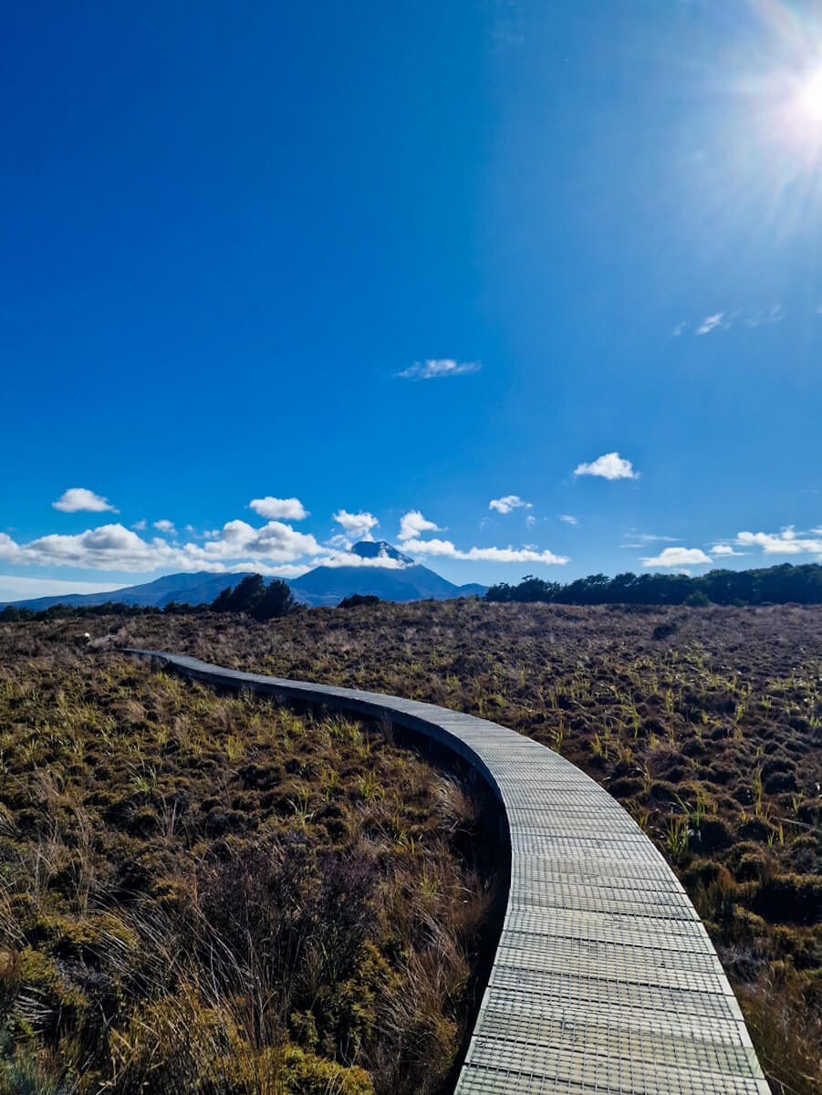 Te Araroa Taumarunui à Whanganui