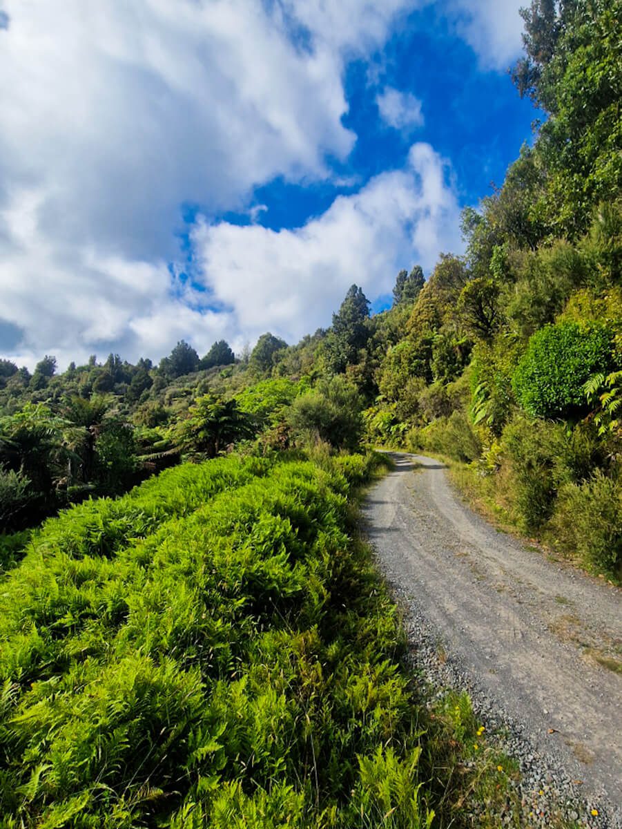 Te Araroa Taumarunui à Whanganui