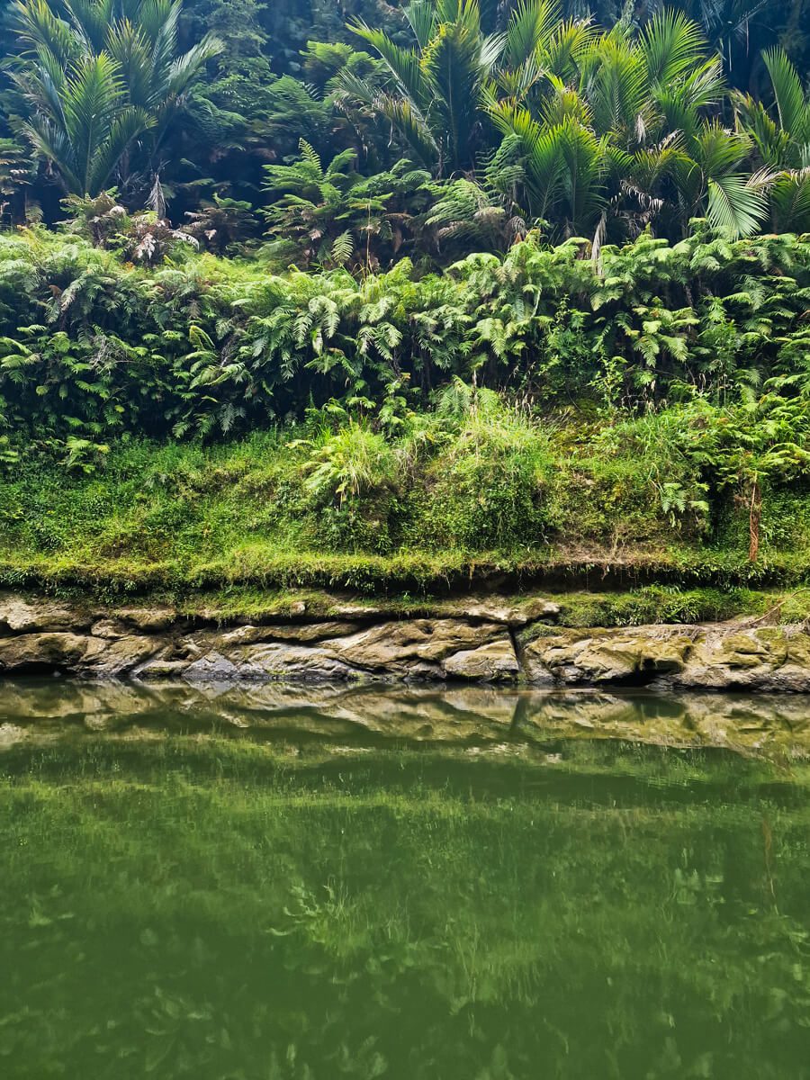 rivière whanganui