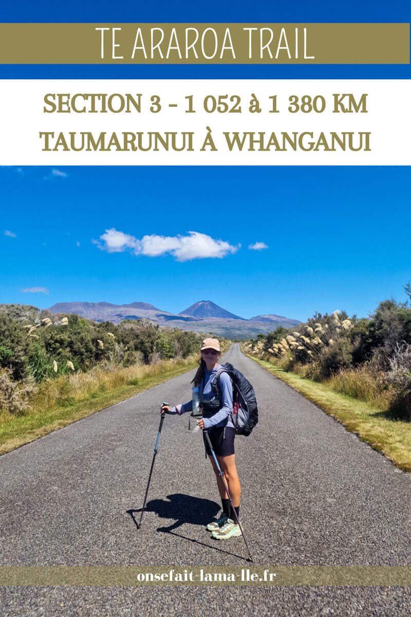 Te Araroa Taumarunui à Whanganui