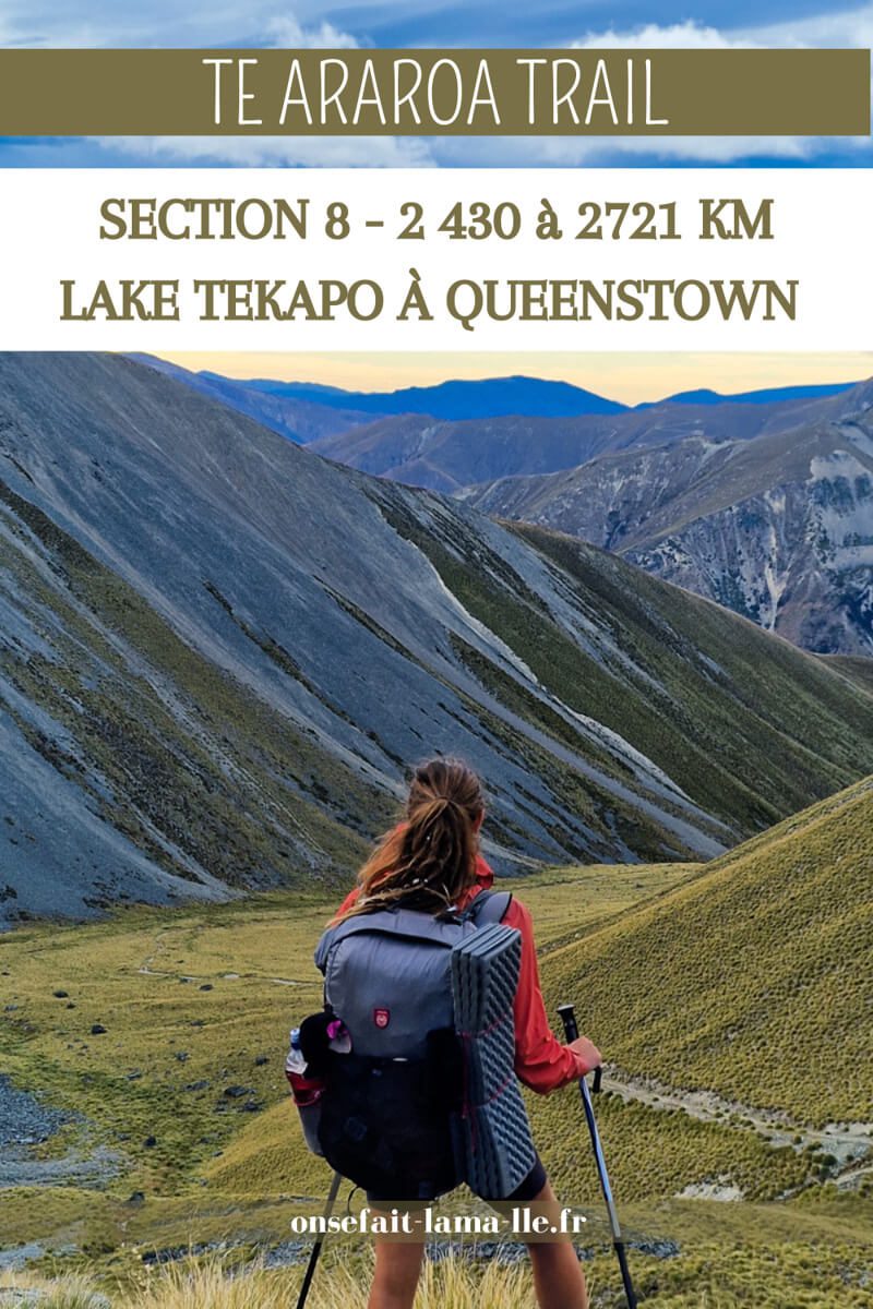 Te Araroa Lake Tekapo à Queenstown