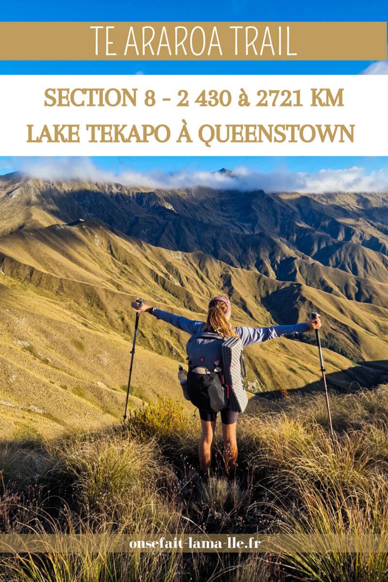 Te Araroa Lake Tekapo à Queenstown