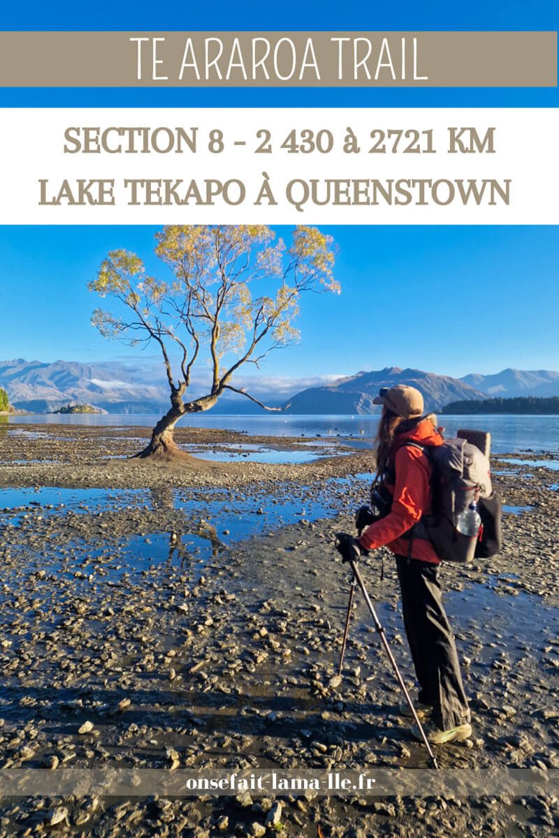 Te Araroa Lake Tekapo à Queenstown