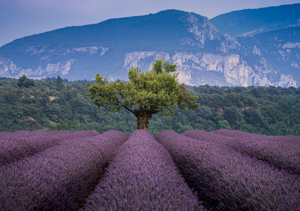Séjour en été en France