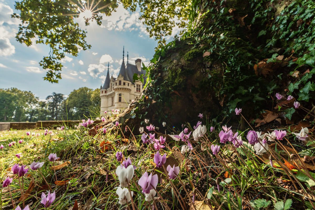 séjours au printemps en France