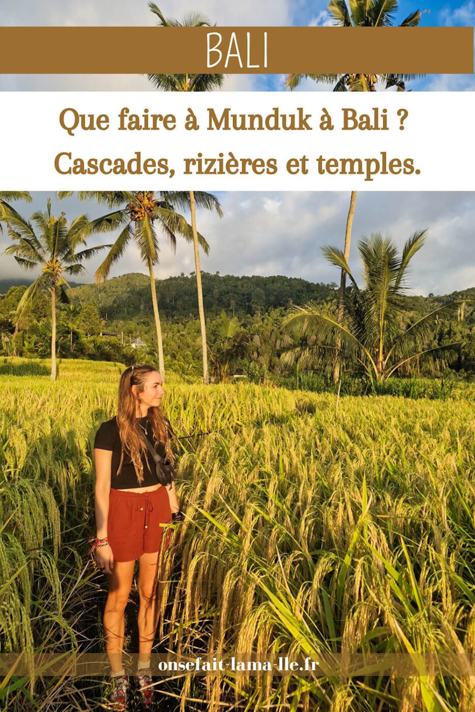 rizières à faire à Munduk à Bali
