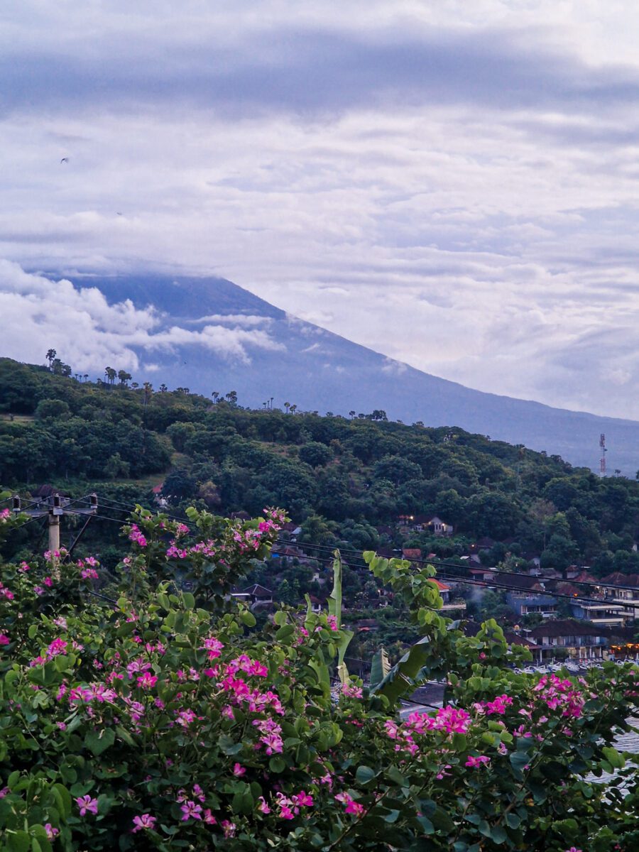 que faire à amed
