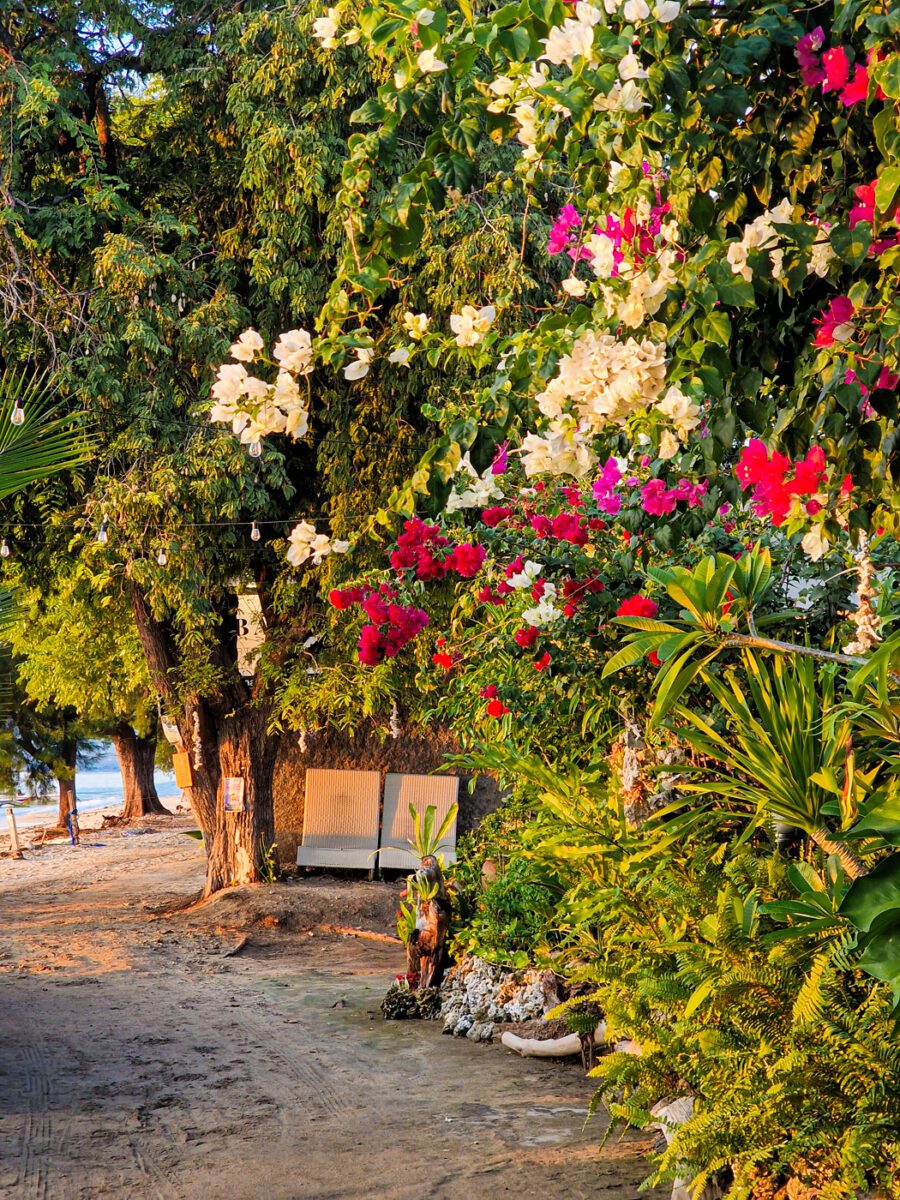 vélo gili air