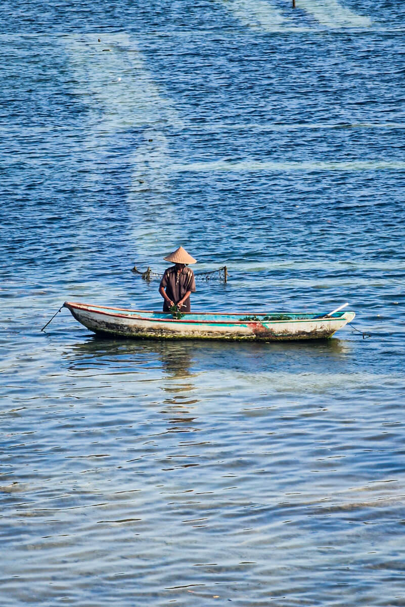 algues nusa lembongan