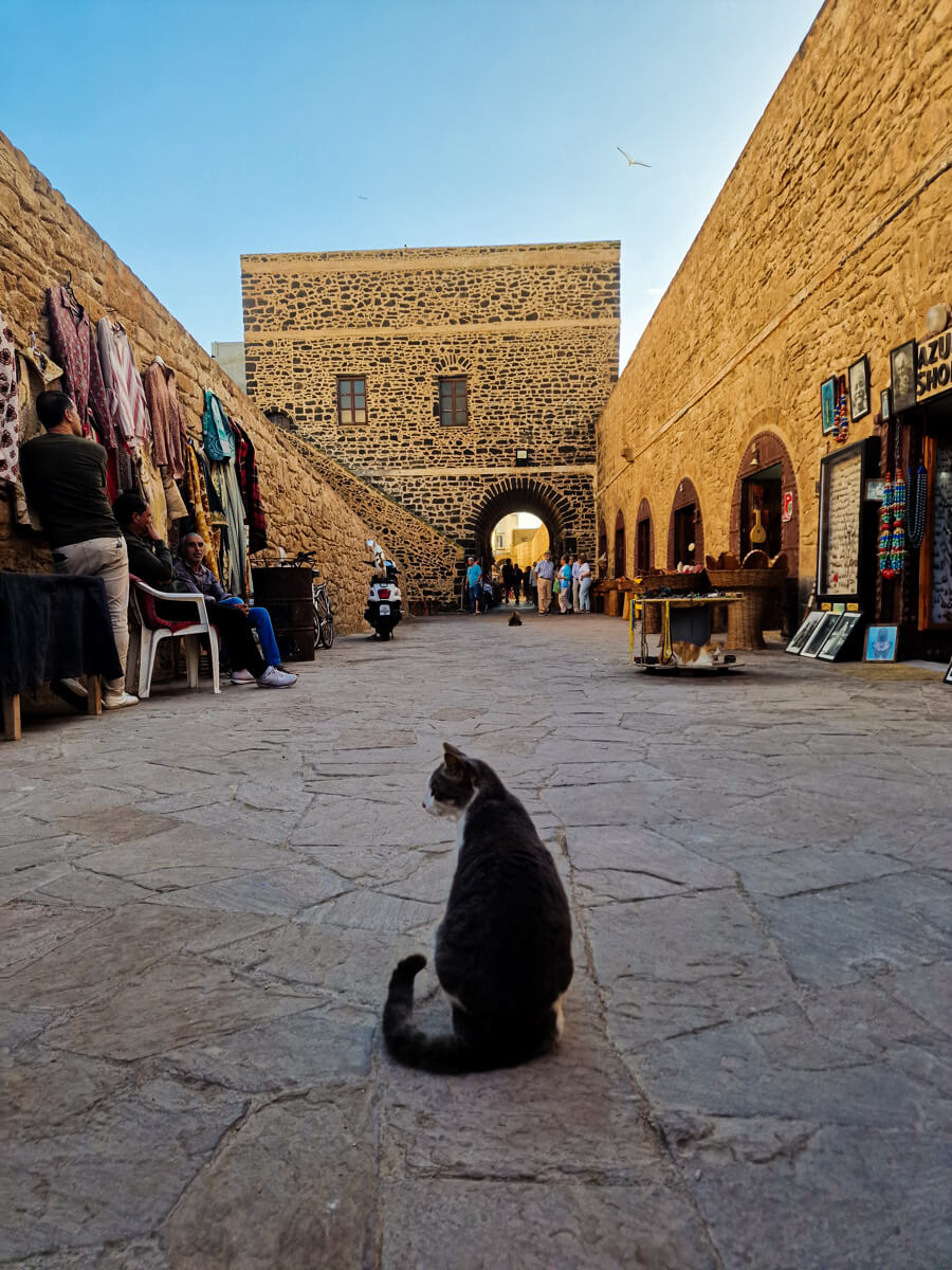 medina essaouira