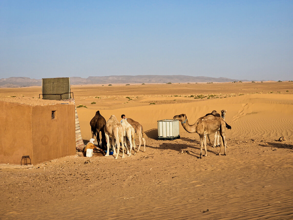 excursion desert du sahara maroc