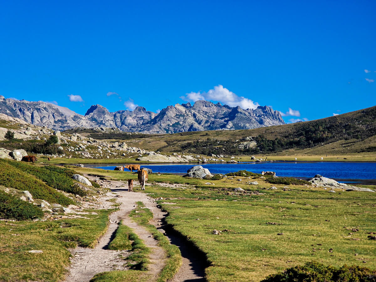 lac nino corse